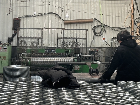 Galvanized Welded Wire Mesh Rolls with Plain Weave Style Affordable