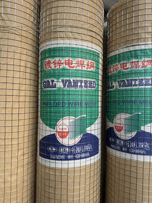 Direct Supply of Galvanized Iron Wire Mesh Fence with Custom Sizes and Polyurethane Coating