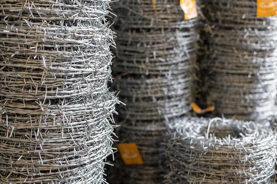 8mm and 1.8mm Diameter Galvanized Barbed Wire for Fence and Construction Customizable for Different Customer Requirements