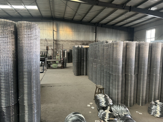 Filter Screens Galvanized Iron Wire Steel Wire Mesh with Custom Processing Service Punching and Custom Sizes