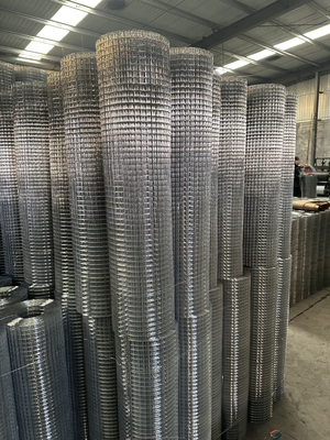 Filter Screens Galvanized Iron Wire Steel Wire Mesh with Custom Processing Service Punching and Custom Sizes