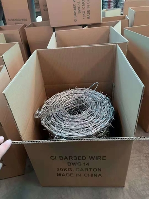Great Protection Assured Galvanized Steel Wire Double Ring Razor Barbed Wire Fence for Breeding on Highway Border Grassland