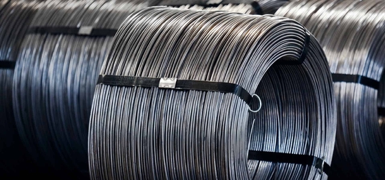 Customizable Length GI Binding Soft Galvanized Steel Wire with TUV Certification