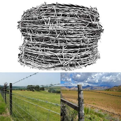 Hot Dipped Galvanized Barb Wire Rolls 50kg Barbed Wire for Razor Type Single Razor and BSCI Certificate