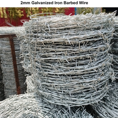 Galvanized Razor Barbed Wire Mesh Fence For Protection From Anping With Sample Availiable Iron Wire