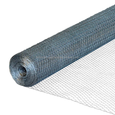 Hot Dipped Gi Welded Wire Mesh Roll Galvanized with Request Wire Gauge and Technique Perforated
