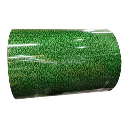 Prepainted Galvanized Color Coated Steel Coil PPGI with Customized Size and Pattern
