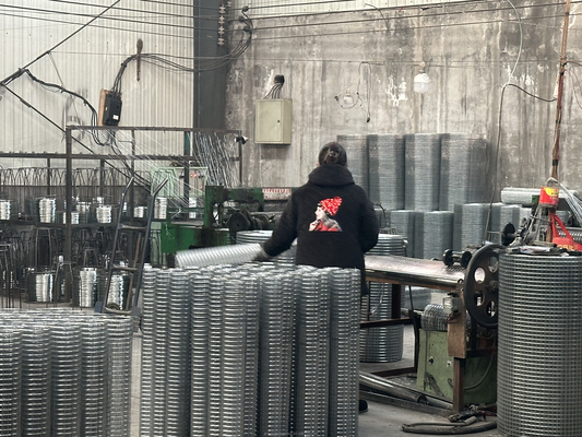 Multi-Scenario Applications Galvanized Iron Wire Steel Wire Mesh with Customized Size Punching Process Mild Steel Cage