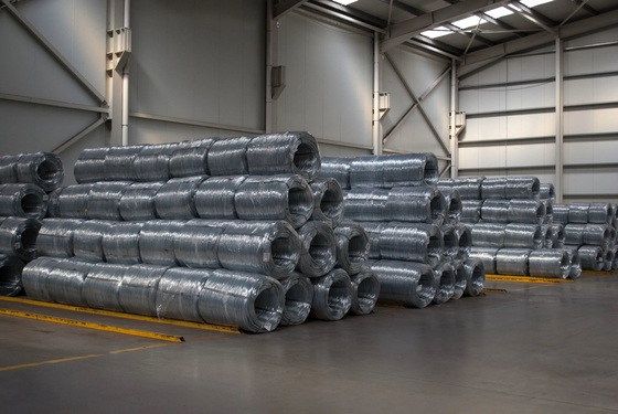 Professional Customization 316s Wire Naylon Coated Stainless Steel Wire SS Precision Wire Rope