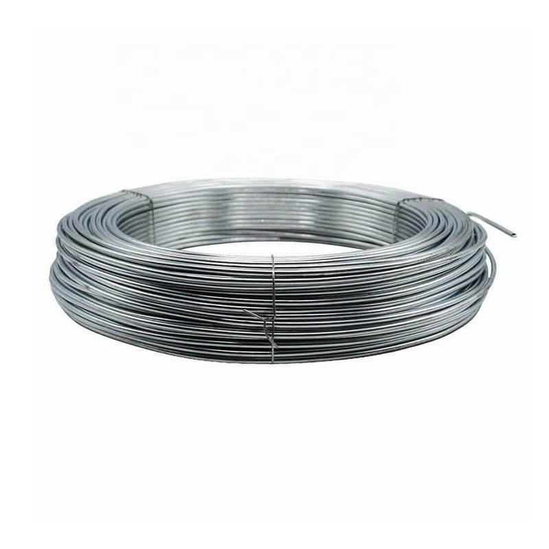 Competitive BWG20 21 22 Galvanized Steel Wires for Special and Free Cutting Steel