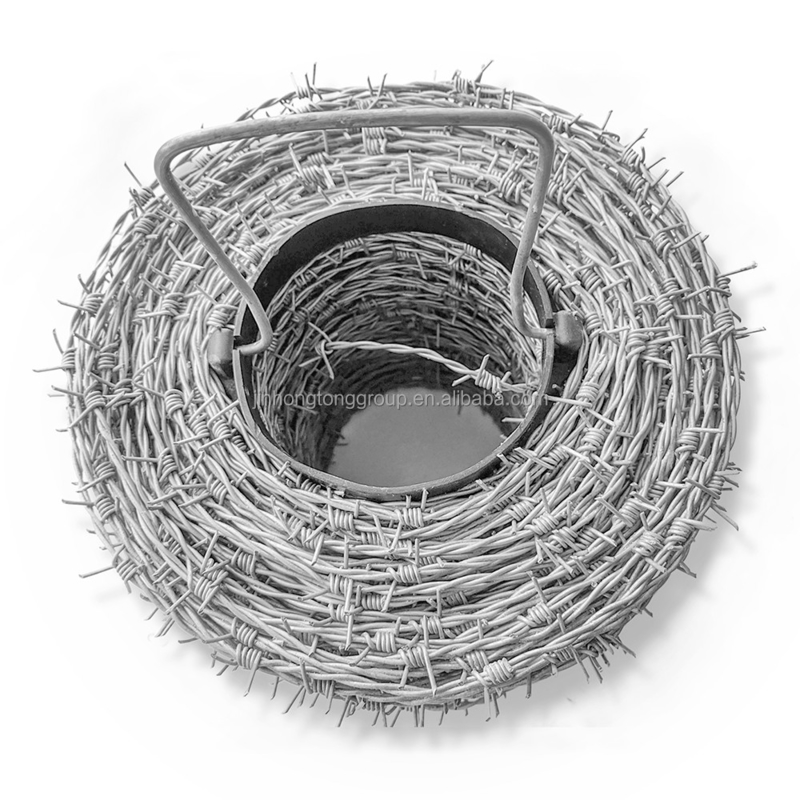 Galvanized Iron Steel Razor Barbed Wire for Prison Barb Wire Fence Time Durable and Long-Lasting Security Solution