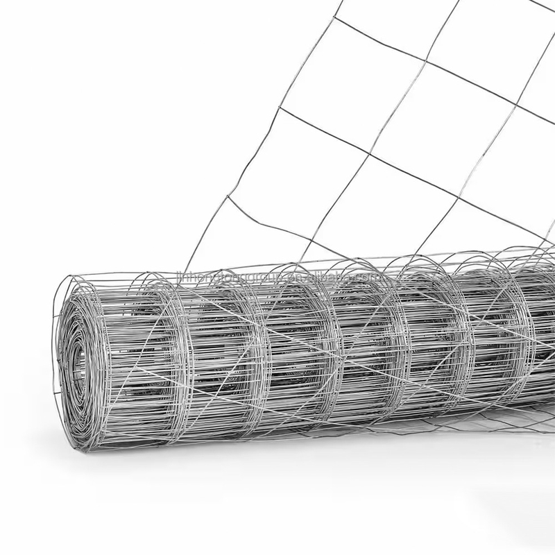Hot Dipped Galvanized 1m x 30m Welded Wire Mesh Fence Roll for Chicken Coop Made of Q195/Q235 Raw Material